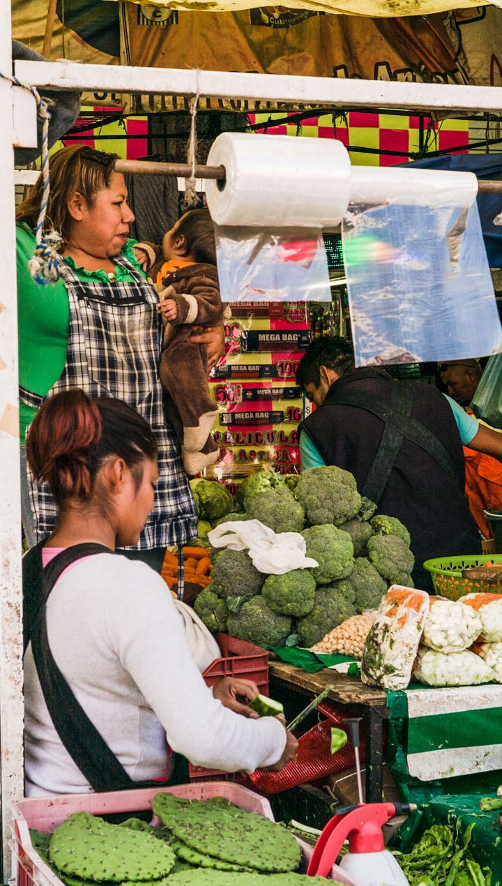 Mexico city food tour